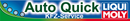 Logo Auto Quick